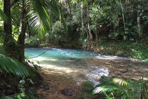 Daintree - Cape Tribulation & Atherton Tablelands Tours From Port Douglas - Accommodation BNB 5