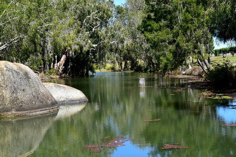 Daintree - Cape Tribulation & Atherton Tablelands Tours From Port Douglas - Accommodation BNB 28
