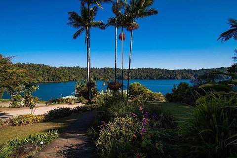 Daintree - Cape Tribulation & Atherton Tablelands Tours From Port Douglas - Accommodation BNB 25