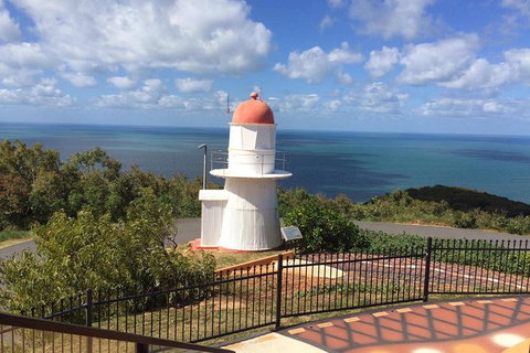 Daintree - Cape Tribulation & Atherton Tablelands Tours From Port Douglas - Accommodation BNB 21