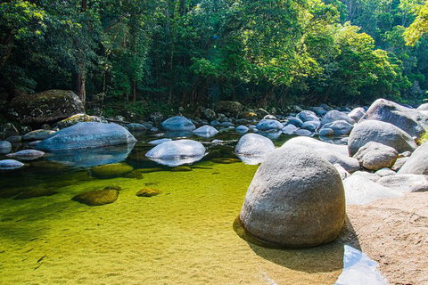 Daintree - Cape Tribulation & Atherton Tablelands Tours From Port Douglas - Accommodation BNB 6