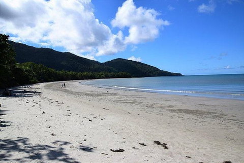 Daintree - Cape Tribulation & Atherton Tablelands Tours From Port Douglas - Accommodation BNB 18