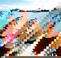 Moreton Island Snorkel and Sandboarding 4WD Day Trip from Brisbane - Accommodation BNB