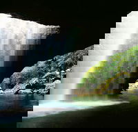 World Heritage Springbrook National Park Tour Including Natural Bridge - Accommodation BNB