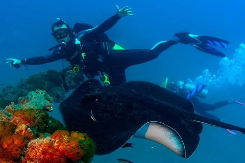 Scuba Dive The S.S. Yongala Wreck On The Great Barrier Reef. - Accommodation BNB 1