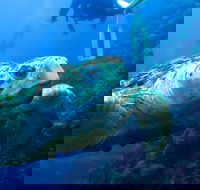 Scuba Dive the S.S. Yongala Wreck on the Great Barrier Reef. - Accommodation BNB