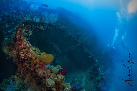 Scuba Dive The S.S. Yongala Wreck On The Great Barrier Reef. - Accommodation BNB 3