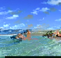 Horse Swimming Ride from Rainbow Beach - Accommodation BNB