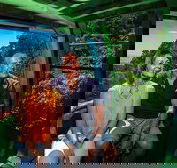 Skyrail Rainforest Cableway Day Trip from Palm Cove - Accommodation BNB