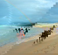Rainbow Beach Horse Ride - Accommodation BNB