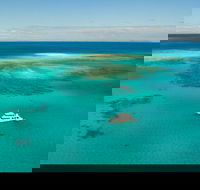 Great Barrier Reef Dive and Snorkel Cruise from Mission Beach - Accommodation BNB
