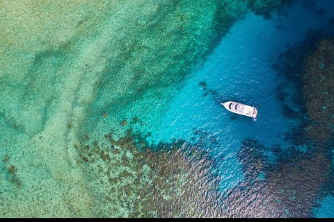 Great Barrier Reef Dive And Snorkel Cruise From Mission Beach - Accommodation BNB 3
