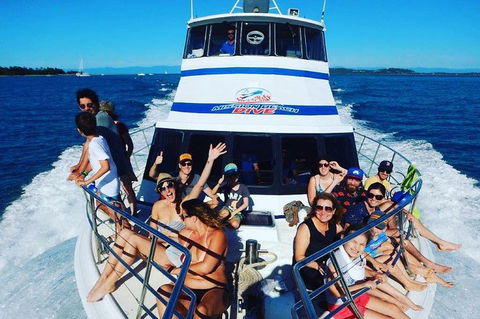 Great Barrier Reef Dive And Snorkel Cruise From Mission Beach - Accommodation BNB 8