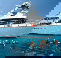 Great Barrier Reef Cruise from Townsville or Magnetic Island - Accommodation BNB