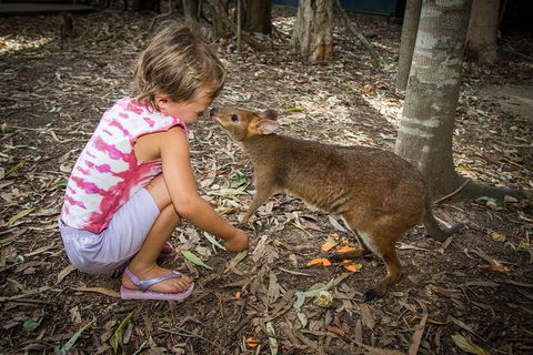 Hartley's Crocodile Adventures Day Trip From Cairns - Accommodation BNB 1