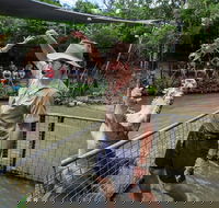 Hartley's Crocodile Adventures Day Trip from Cairns - Accommodation BNB