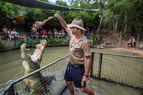 Hartley's Crocodile Adventures Day Trip From Cairns - Accommodation BNB 0