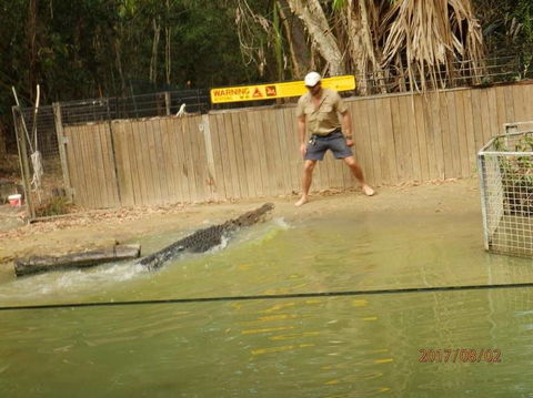 Hartley's Crocodile Adventures Day Trip From Cairns - Accommodation BNB 8