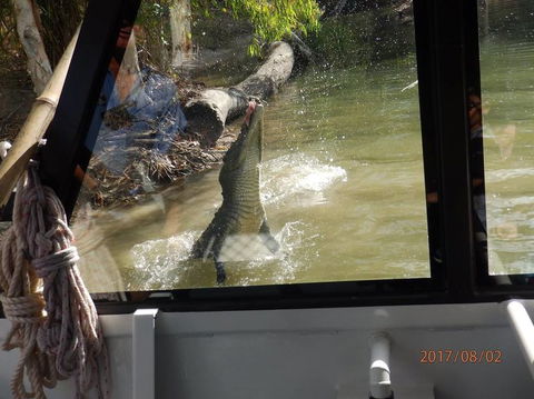 Hartley's Crocodile Adventures Day Trip From Cairns - Accommodation BNB 5