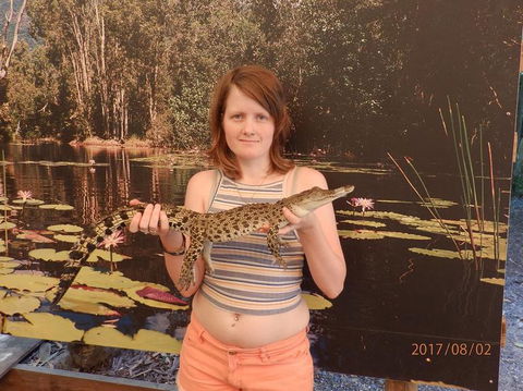 Hartley's Crocodile Adventures Day Trip From Cairns - Accommodation BNB 3