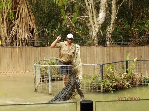 Hartley's Crocodile Adventures Day Trip From Cairns - Accommodation BNB 2