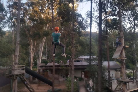 Tamborine Mountain Daily Service, Treetop Challenge And Thunderbird Park - Accommodation BNB 1