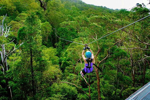 Tamborine Mountain Daily Service, Treetop Challenge And Thunderbird Park - Accommodation BNB 9
