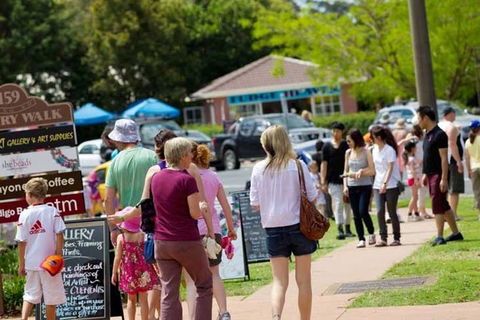 Tamborine Mountain Daily Service, Treetop Challenge And Thunderbird Park - Accommodation BNB 6