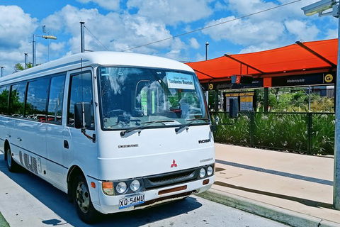 Tamborine Mountain Daily Service, Treetop Challenge And Thunderbird Park - Accommodation BNB 10