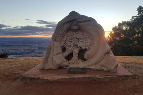 Tamborine Mountain Daily Service, Treetop Challenge And Thunderbird Park - Accommodation BNB 11
