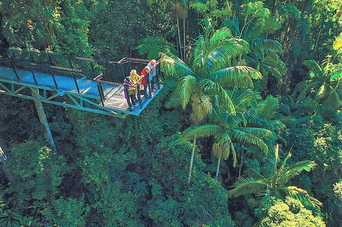 Tamborine Mountain Daily Service, Treetop Challenge And Thunderbird Park - Accommodation BNB 12