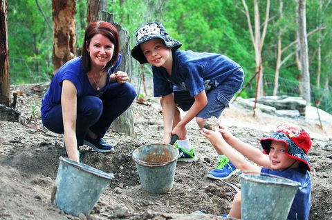 Tamborine Mountain Daily Service, Treetop Challenge And Thunderbird Park - Accommodation BNB 8