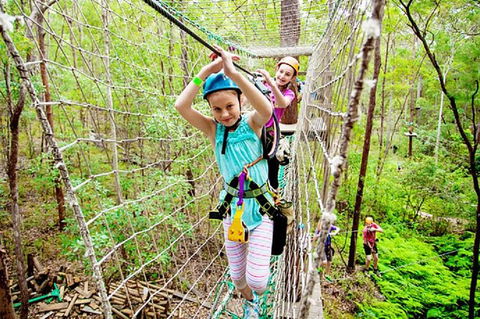 Tamborine Mountain Daily Service, Treetop Challenge And Thunderbird Park - Accommodation BNB 4