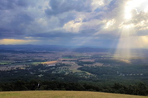 Tamborine Mountain Daily Service, Treetop Challenge And Thunderbird Park - Accommodation BNB 3