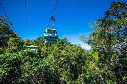 Kuranda Scenic Railway Day Trip From Palm Cove - Accommodation BNB 3
