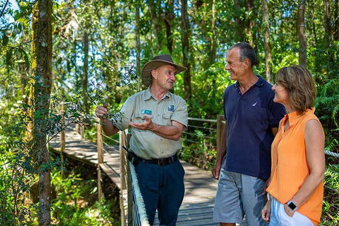 Kuranda Scenic Railway Day Trip From Palm Cove - Accommodation BNB 4