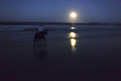 Full Moon Horse Ride At Rainbow Beach - Accommodation BNB 0