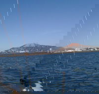 Townsville early Morning Sailing Cruise Boat Tour - Accommodation BNB