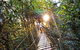 O'Reilly's Lamington National Park And Treetop Canopy Tour - thumb 0
