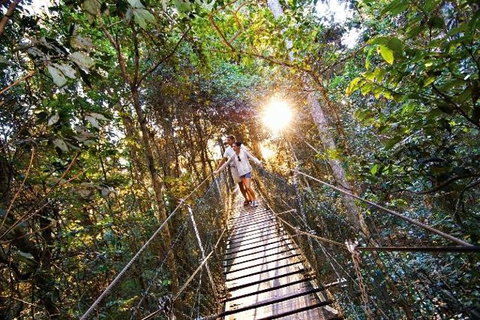 O'Reilly's Lamington National Park And Treetop Canopy Tour - Accommodation BNB 0