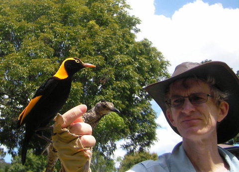 O'Reilly's Lamington National Park And Treetop Canopy Tour - Accommodation BNB 4