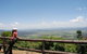 O'Reilly's Lamington National Park And Treetop Canopy Tour - thumb 6