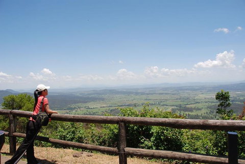 O'Reilly's Lamington National Park And Treetop Canopy Tour - Accommodation BNB 6