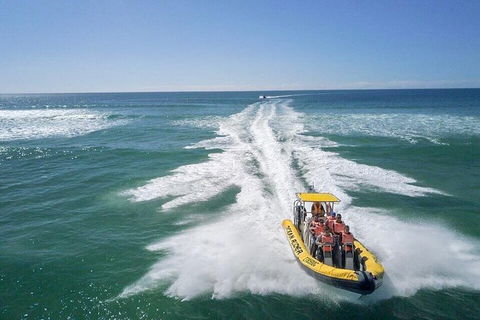 Noosa Oceanrider - Thrill Ride - Accommodation BNB 2