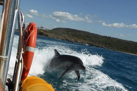 Noosa Oceanrider - Thrill Ride - Accommodation BNB 4