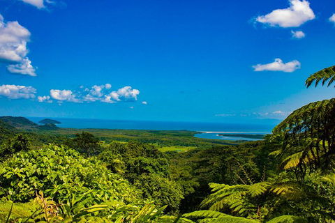 Cape Tribulation Day Tour - Accommodation BNB 0