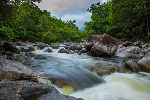 Cape Tribulation Day Tour - Accommodation BNB 7