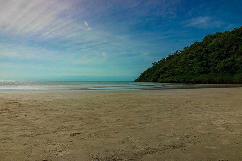 Cape Tribulation Day Tour - Accommodation BNB 8
