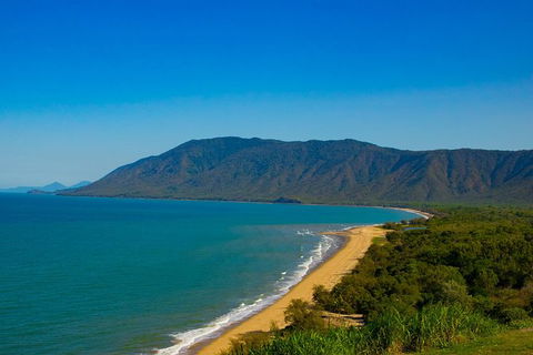 Cape Tribulation Day Tour - Accommodation BNB 4