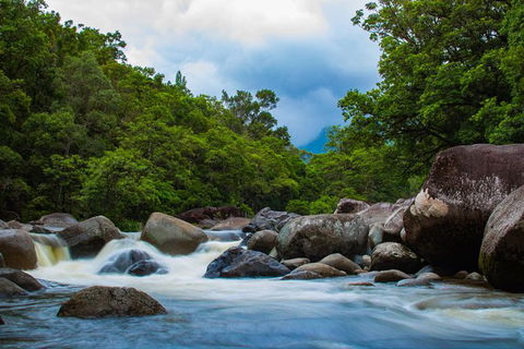 Cape Tribulation Day Tour - Accommodation BNB 5